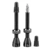 Tubolight Valves Pair Brass Black