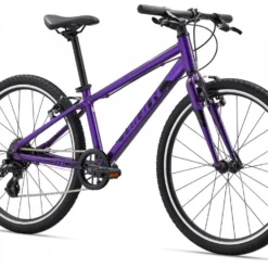 Giant ARX 24" -Shiman Bicycle Shop 72826 giant arx 24