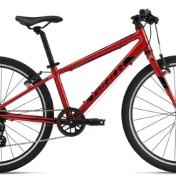Giant ARX 24"