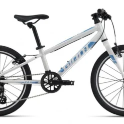 Giant ARX 20"