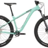 Kona Big Honzo DL