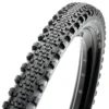 Maxxis Minion SS EXO TR
