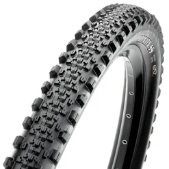 Maxxis Minion SS EXO TR