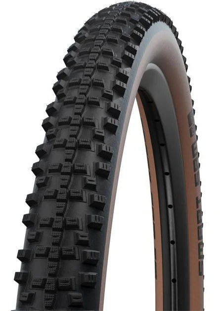 Schwalbe Smart Sam Performance Addix Bronze 1 Schwalbe Smart Sam Performance Addix Bronze