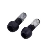 Sram Mounting Bolts M6 X 18 Mm (2 Pcs)