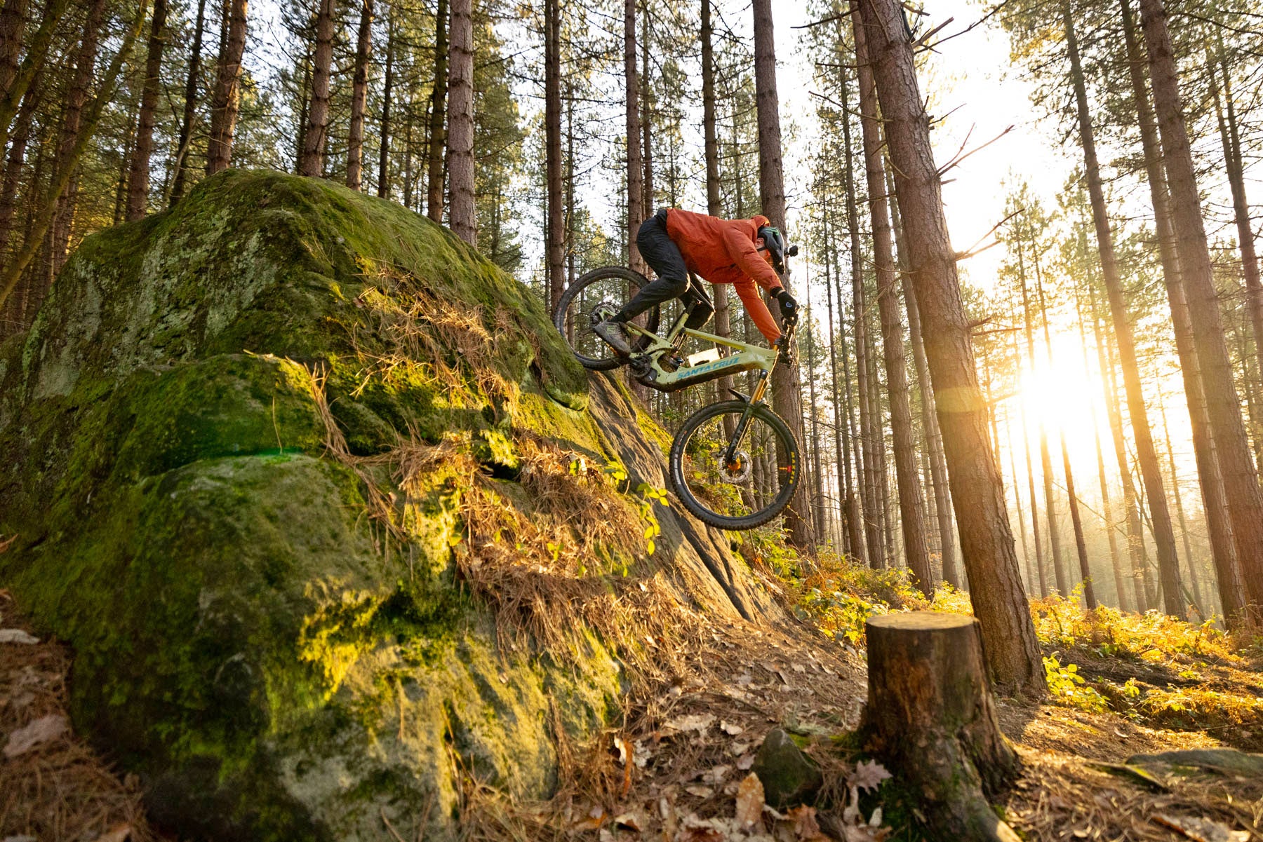 Shiman Bicycle Shop 27 Shiman Bicycle Shop -Shiman Bicycle Shop